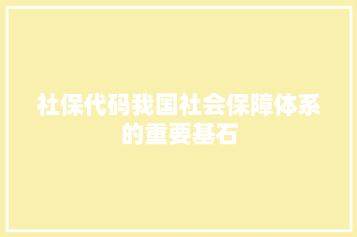 社保代码我国社会保障体系的重要基石  第1张