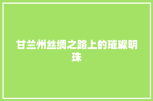 甘兰州丝绸之路上的璀璨明珠