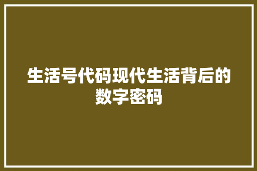 生活号代码现代生活背后的数字密码