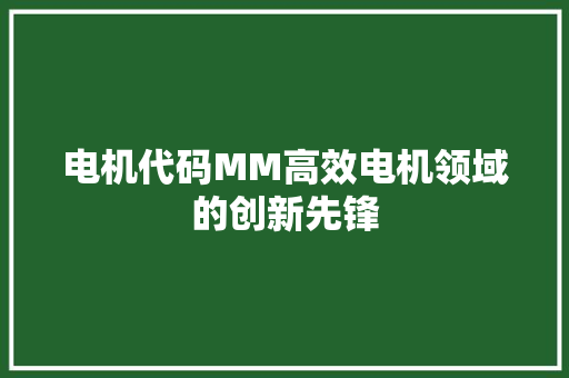 电机代码MM高效电机领域的创新先锋  第1张