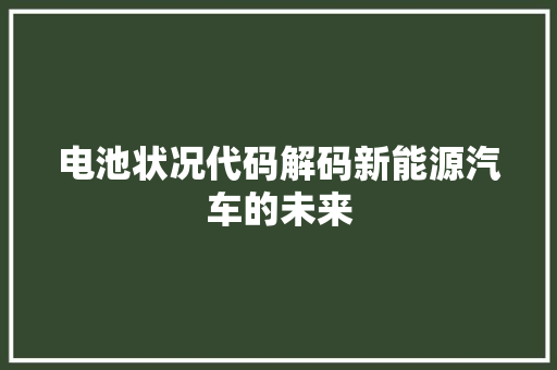 电池状况代码解码新能源汽车的未来
