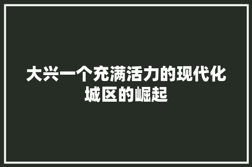 大兴一个充满活力的现代化城区的崛起