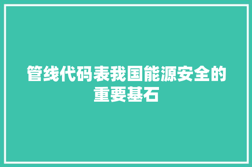 管线代码表我国能源安全的重要基石