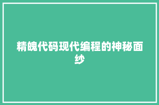 精魄代码现代编程的神秘面纱
