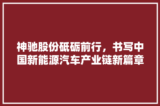 神驰股份砥砺前行，书写中国新能源汽车产业链新篇章