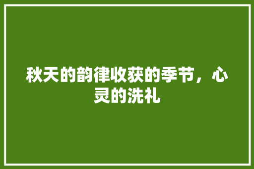 秋天的韵律收获的季节，心灵的洗礼