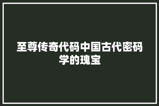 至尊传奇代码中国古代密码学的瑰宝