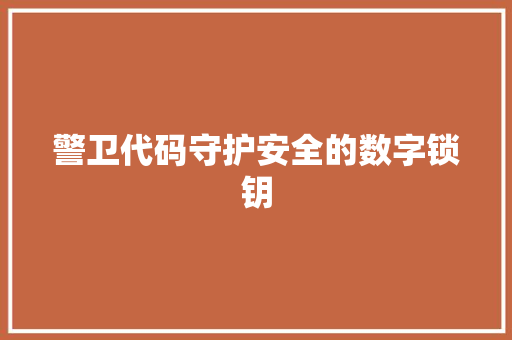 警卫代码守护安全的数字锁钥