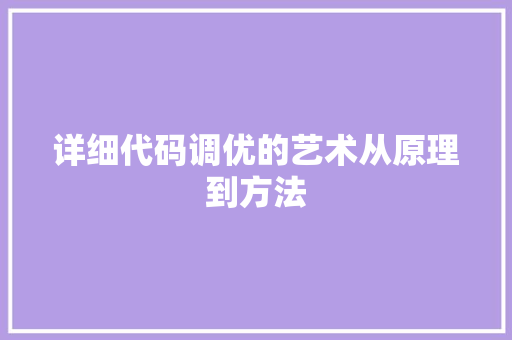 详细代码调优的艺术从原理到方法