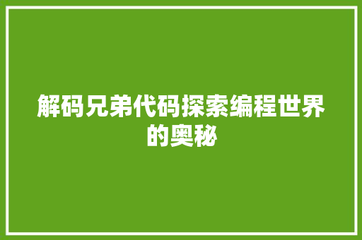 解码兄弟代码探索编程世界的奥秘