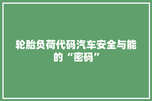 轮胎负荷代码汽车安全与能的“密码”