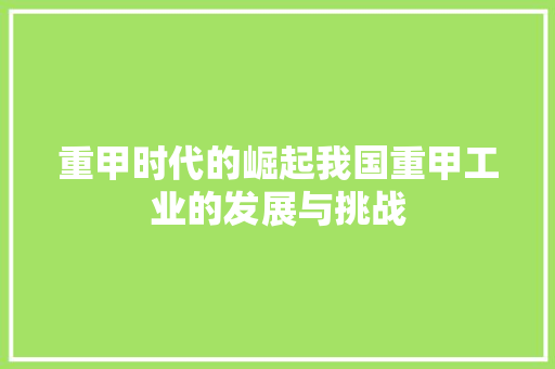 重甲时代的崛起我国重甲工业的发展与挑战