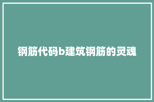 钢筋代码b建筑钢筋的灵魂