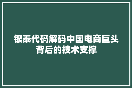 银泰代码解码中国电商巨头背后的技术支撑