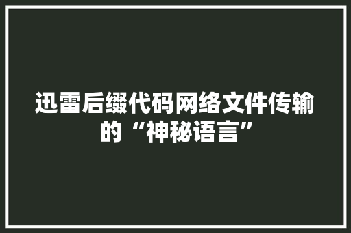 迅雷后缀代码网络文件传输的“神秘语言”