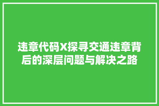 违章代码X探寻交通违章背后的深层问题与解决之路
