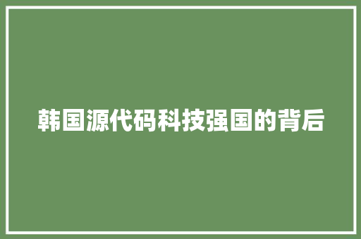 韩国源代码科技强国的背后