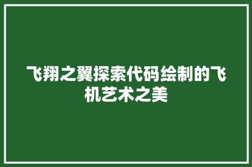 飞翔之翼探索代码绘制的飞机艺术之美
