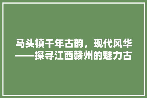马头镇千年古韵，现代风华——探寻江西赣州的魅力古镇