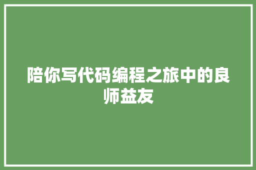 陪你写代码编程之旅中的良师益友
