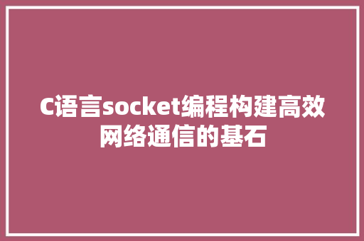 C语言socket编程构建高效网络通信的基石