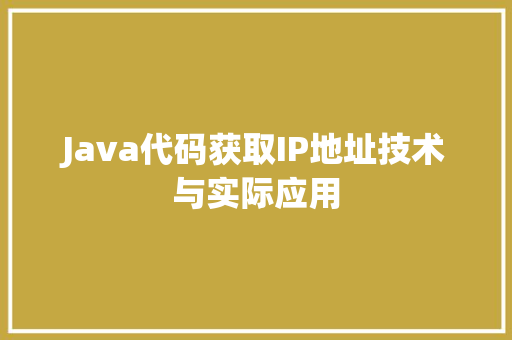 Java代码获取IP地址技术与实际应用