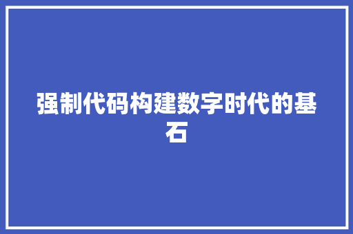 强制代码构建数字时代的基石