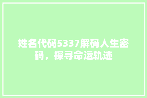 姓名代码5337解码人生密码，探寻命运轨迹