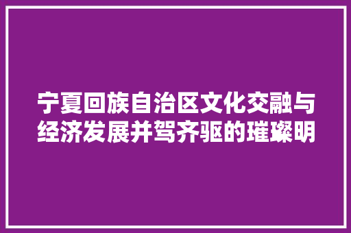 宁夏回族自治区文化交融与经济发展并驾齐驱的璀璨明珠