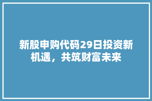 新股申购代码29日投资新机遇，共筑财富未来