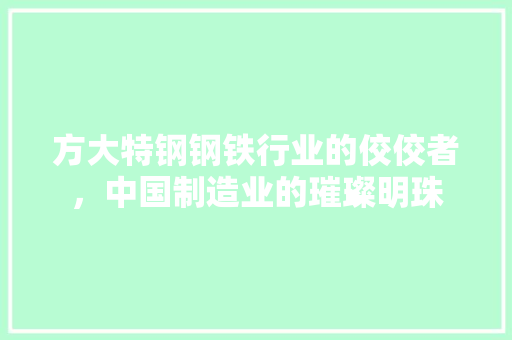 方大特钢钢铁行业的佼佼者，中国制造业的璀璨明珠