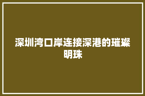 深圳湾口岸连接深港的璀璨明珠