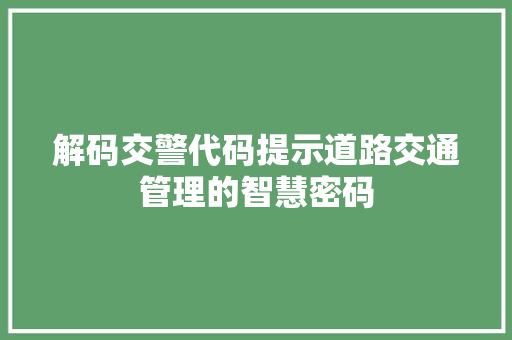 解码交警代码提示道路交通管理的智慧密码