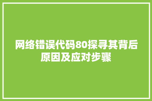 网络错误代码80探寻其背后原因及应对步骤