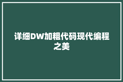 详细DW加粗代码现代编程之美