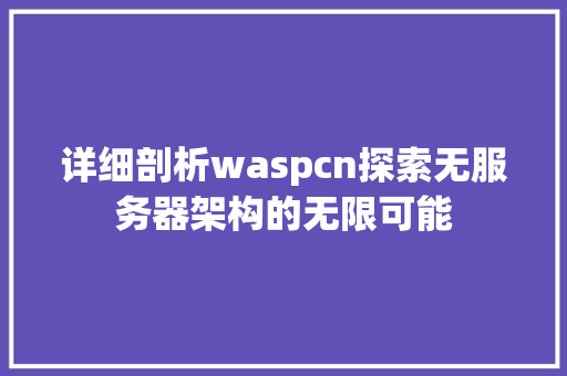 详细剖析waspcn探索无服务器架构的无限可能