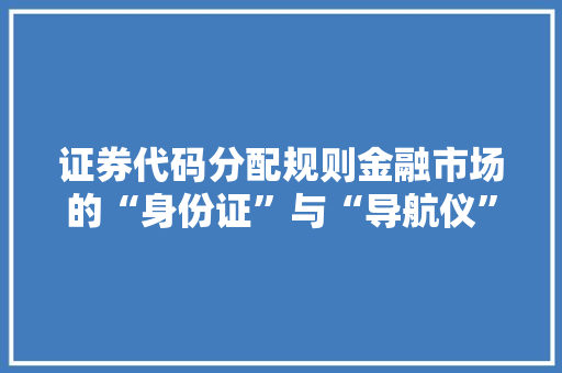 证券代码分配规则金融市场的“身份证”与“导航仪”