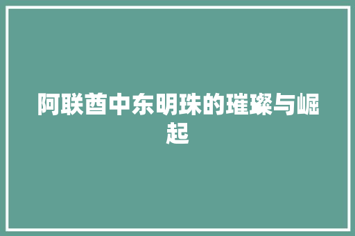阿联酋中东明珠的璀璨与崛起