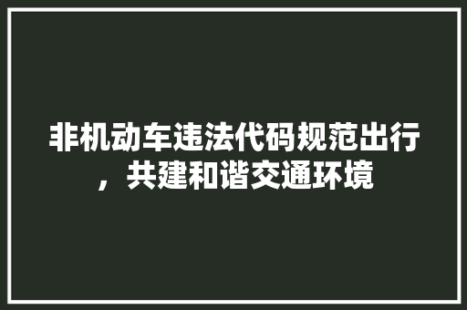 非机动车违法代码规范出行，共建和谐交通环境  第1张