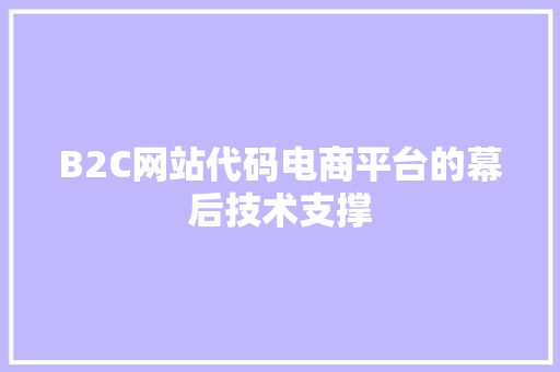 B2C网站代码电商平台的幕后技术支撑