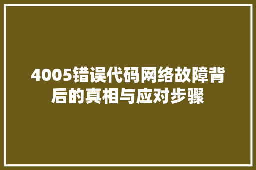 4005错误代码网络故障背后的真相与应对步骤