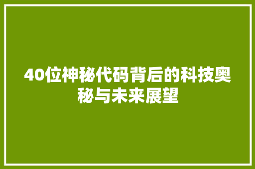 40位神秘代码背后的科技奥秘与未来展望