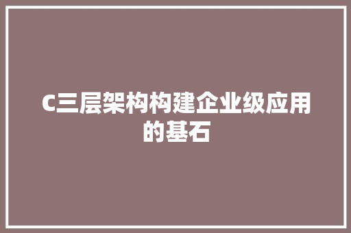 C三层架构构建企业级应用的基石