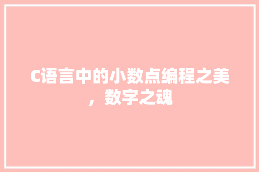 C语言中的小数点编程之美，数字之魂
