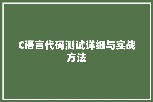 C语言代码测试详细与实战方法