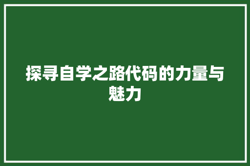 探寻自学之路代码的力量与魅力  第1张