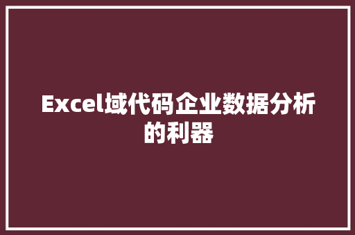 Excel域代码企业数据分析的利器