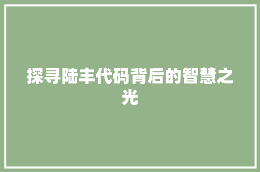 探寻陆丰代码背后的智慧之光