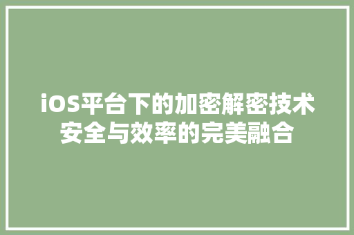 iOS平台下的加密解密技术安全与效率的完美融合
