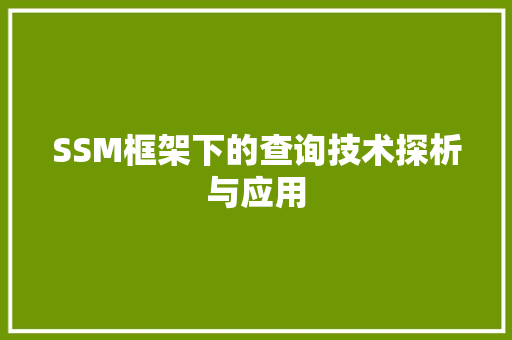 SSM框架下的查询技术探析与应用